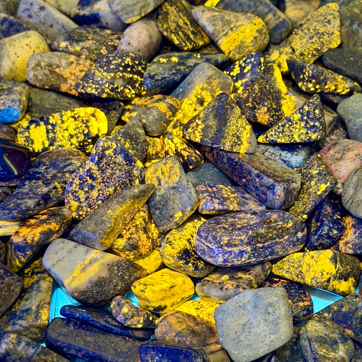 Tumbled Lapis Lazuli (½ lb) | Freeform