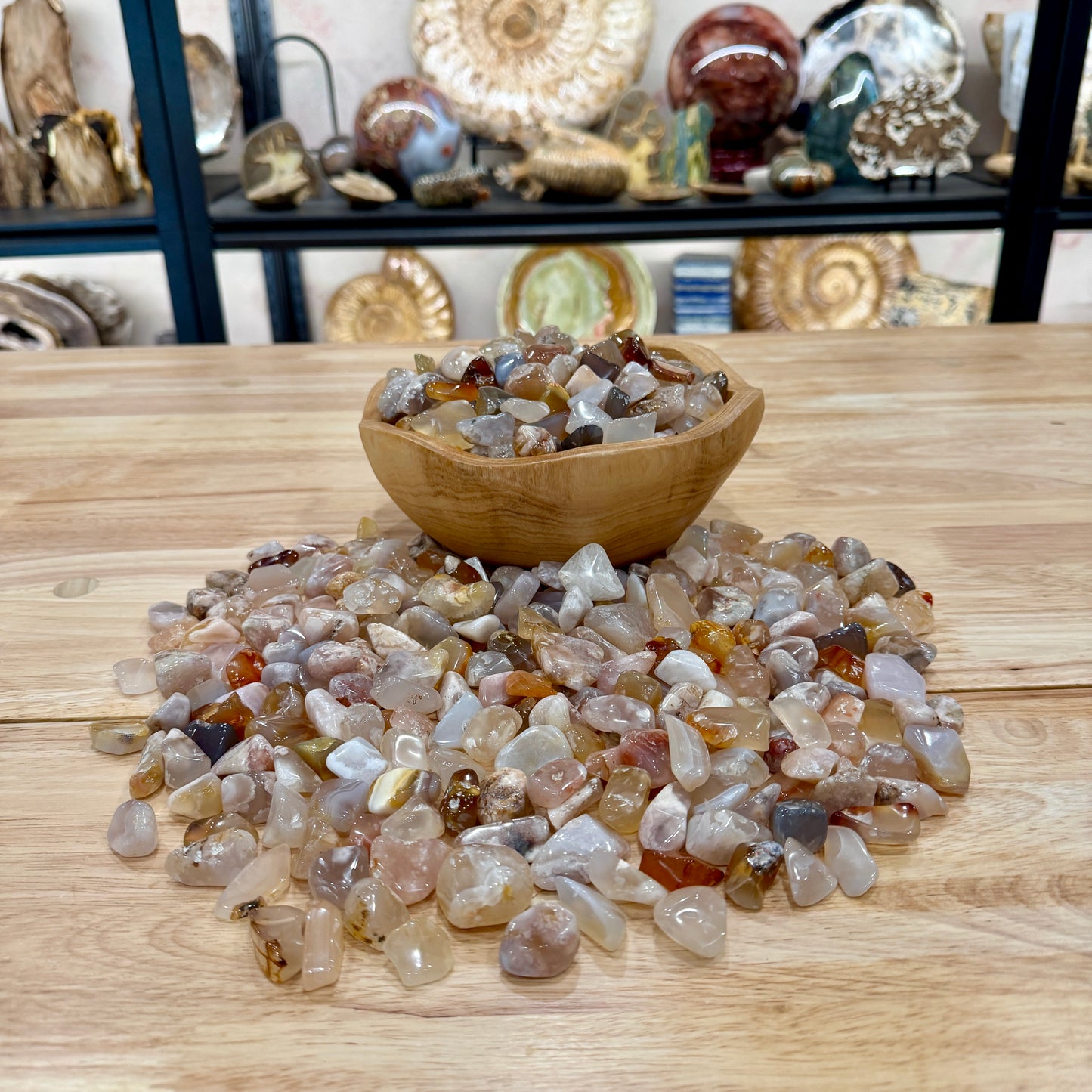 Tumbled Flower Agate (½ lb) | Freeform