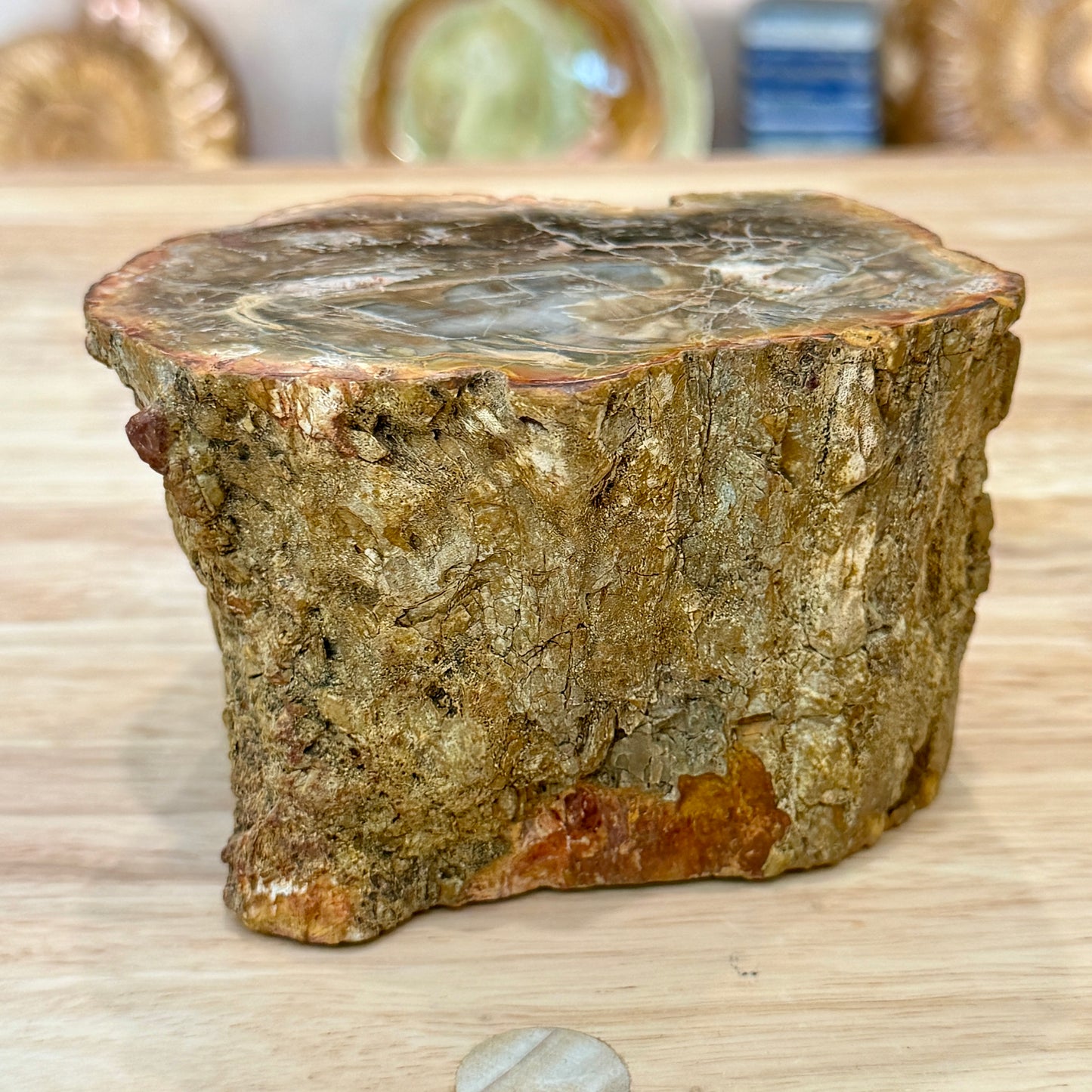Petrified Wood Mini Stump Accent 4.6"