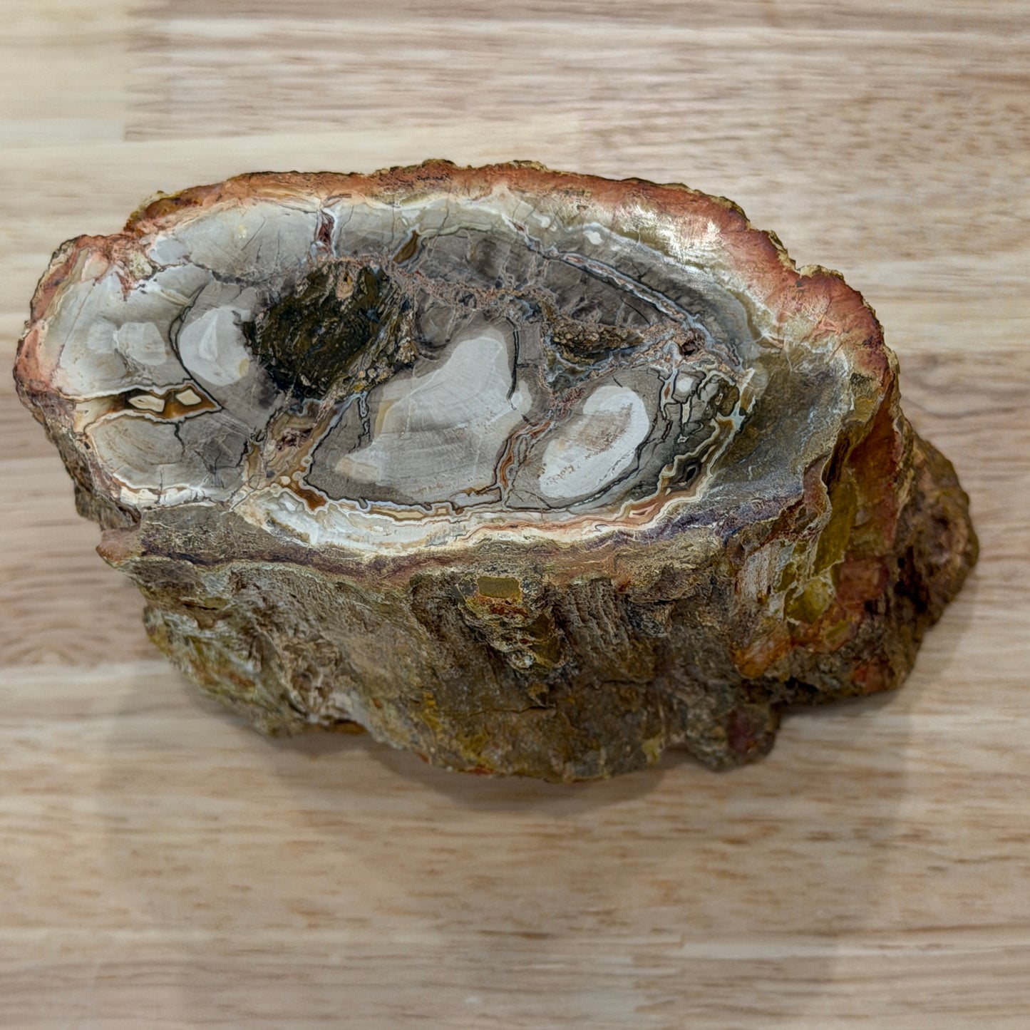 Petrified Wood Mini Stump Accent 4.3"