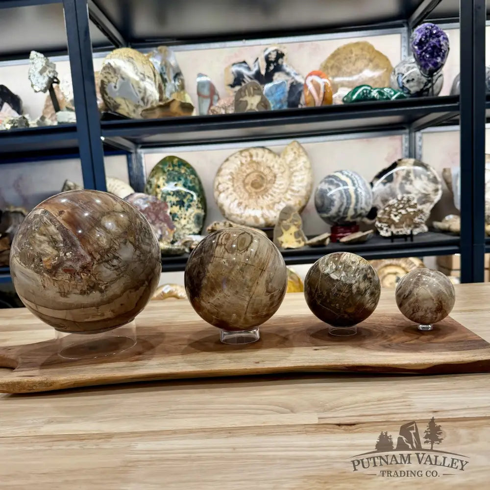 Acrylic Sphere Stand - Stands & Accessories