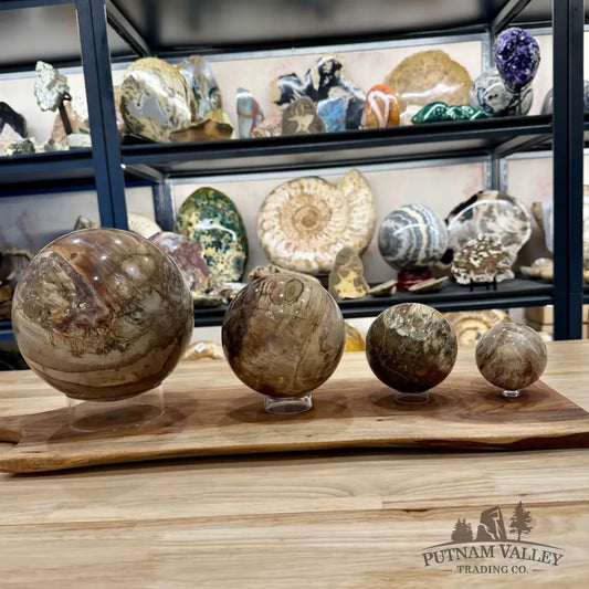 Acrylic Sphere Stand - Stands & Accessories