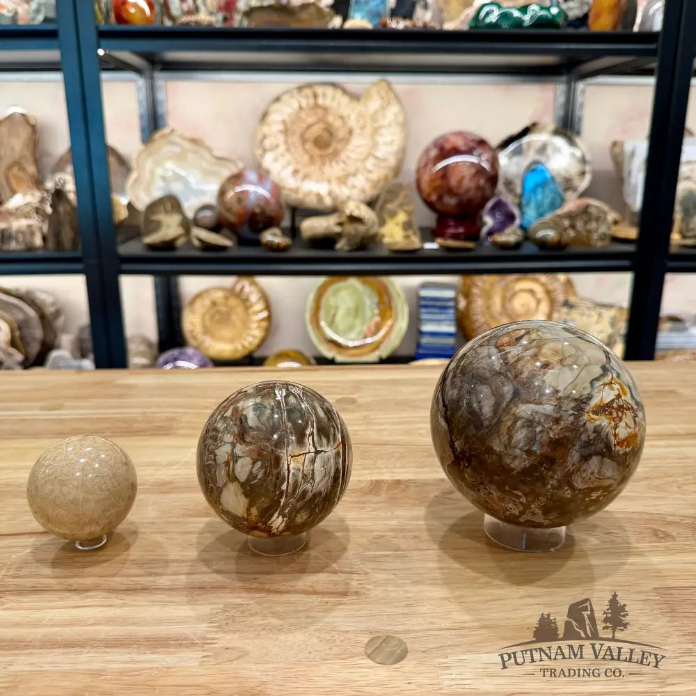 Acrylic Sphere Stand - Stand