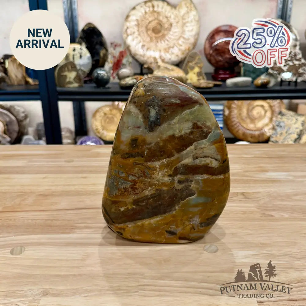 Amazonite Freeform Table Accent 8.25’’ | 12.62lb - Sculpture