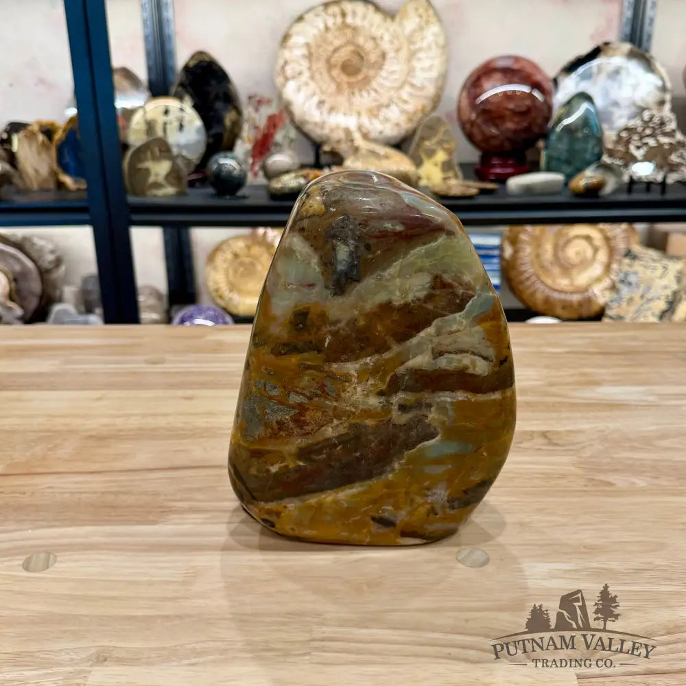 Amazonite Freeform Table Accent 8.25’’ | 12.62lb - Sculpture