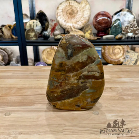 Amazonite Freeform Table Accent 8.25’’ | 12.62lb - Sculpture