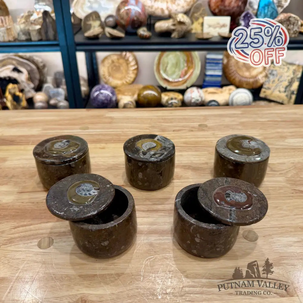 Ammonite & Orthoceras Round Fossil Keepsake Box 3.1’’ - Fossil Trinket Box