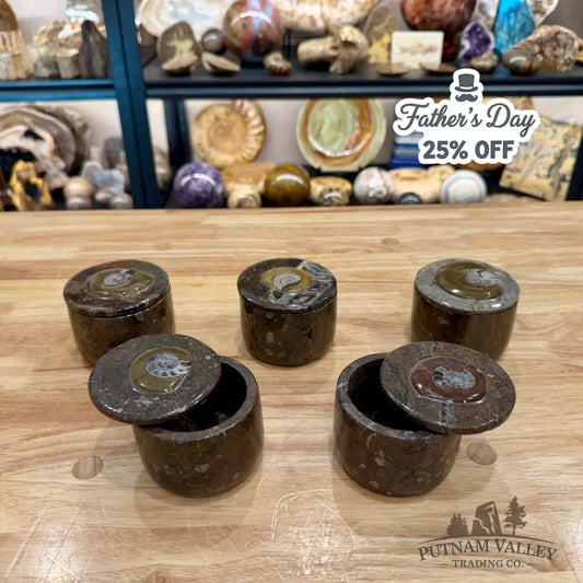 Ammonite & Orthoceras Round Fossil Keepsake Box 3.1’’ - Fossil Trinket Box