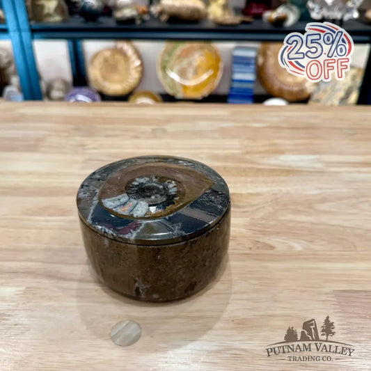 Ammonite & Orthoceras Round Fossil Keepsake Box 4.3’’ 3 - Fossil Trinket Box