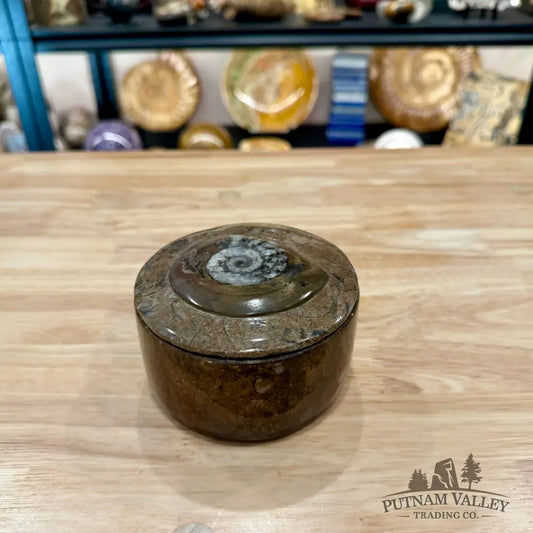 Ammonite & Orthoceras Round Fossil Keepsake Box 4.3’’ 2 - Fossil Trinket Box