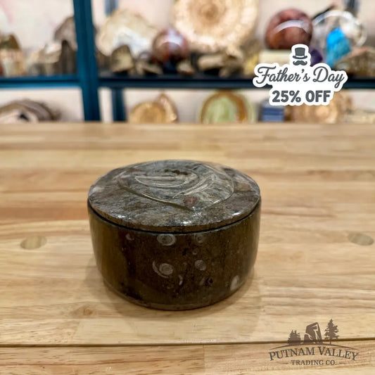 Ammonite & Orthoceras Round Fossil Keepsake Box 4.3’’ - Fossil Trinket Box