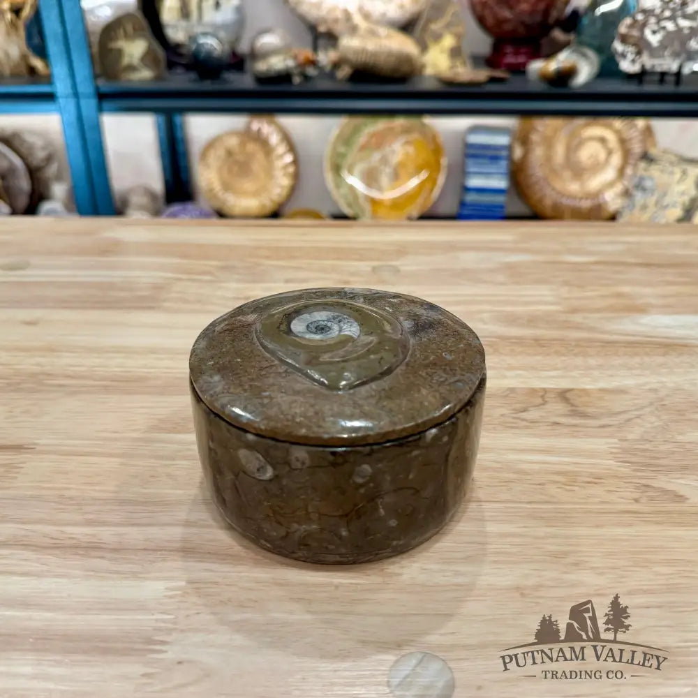 Ammonite & Orthoceras Round Fossil Keepsake Box 4.3’’ 1 - Fossil Trinket Box