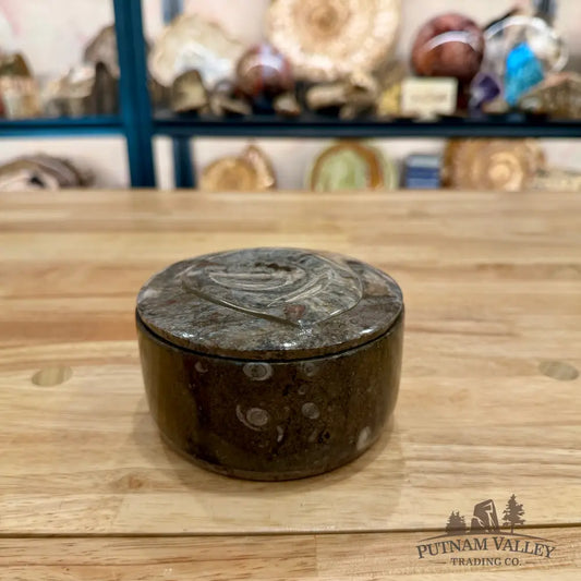 Ammonite & Orthoceras Round Fossil Keepsake Box 4.3’’ - Fossil Trinket Box