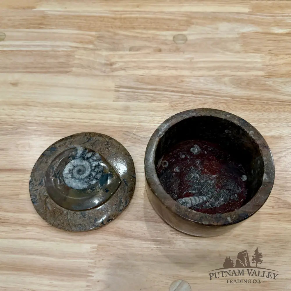Ammonite & Orthoceras Round Fossil Keepsake Box 4.3’’ 2 - Fossil Trinket Box