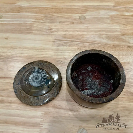 Ammonite & Orthoceras Round Fossil Keepsake Box 4.3’’ 2 - Fossil Trinket Box