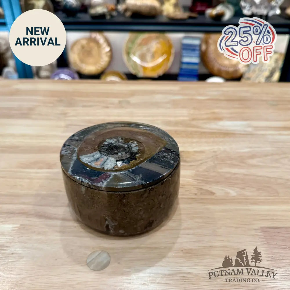 Ammonite & Orthoceras Round Fossil Keepsake Box 4.3’’ 3 - Fossil Trinket Box