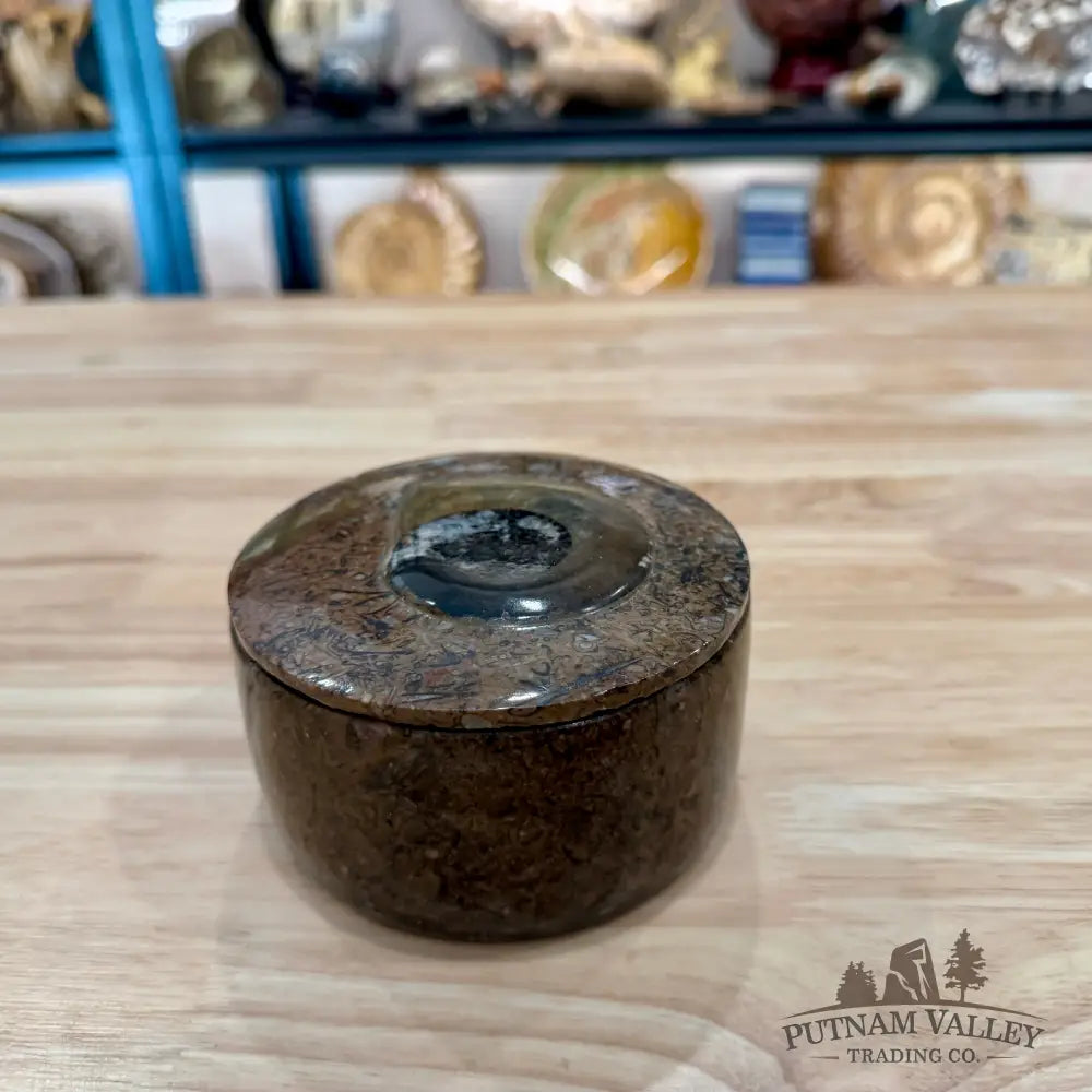 Ammonite & Orthoceras Round Fossil Keepsake Box 4.3’’ 4 - Fossil Trinket Box