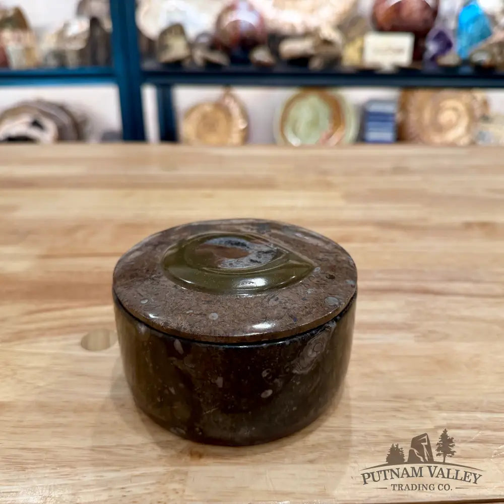 Ammonite & Orthoceras Round Fossil Keepsake Box 4.3’’ - Fossil Trinket Box