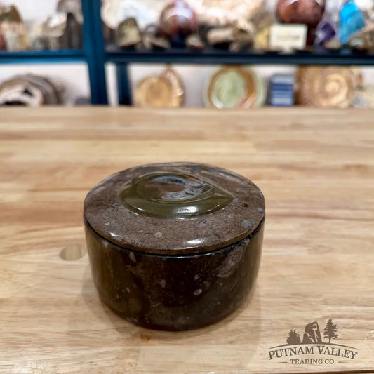 Ammonite & Orthoceras Round Fossil Keepsake Box 4.3’’ - Fossil Trinket Box