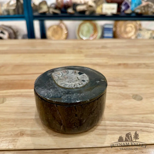 Ammonite & Orthoceras Round Fossil Keepsake Box 4.3’’ - Fossil Trinket Box