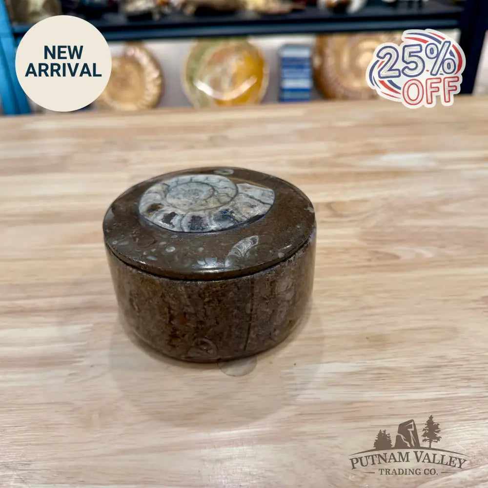 Ammonite & Orthoceras Round Fossil Keepsake Box 4.3’’ - Fossil Trinket Box