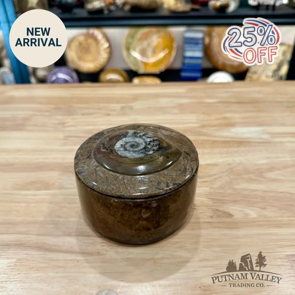 Ammonite & Orthoceras Round Fossil Keepsake Box 4.3’’ 2 - Fossil Trinket Box