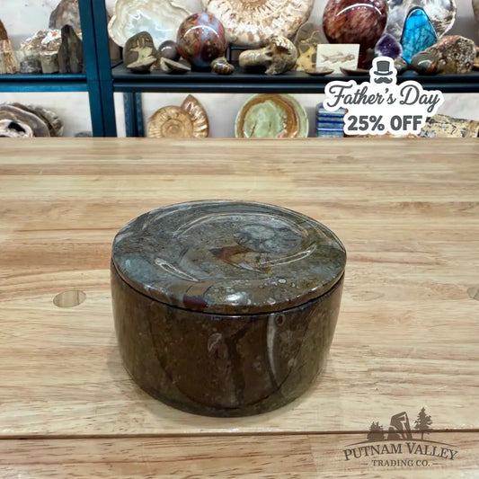 Ammonite & Orthoceras Round Fossil Keepsake Box 4.3’’ - Fossil Trinket Box