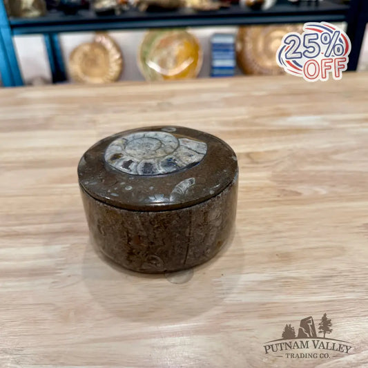 Ammonite & Orthoceras Round Fossil Keepsake Box 4.3’’ - Fossil Trinket Box