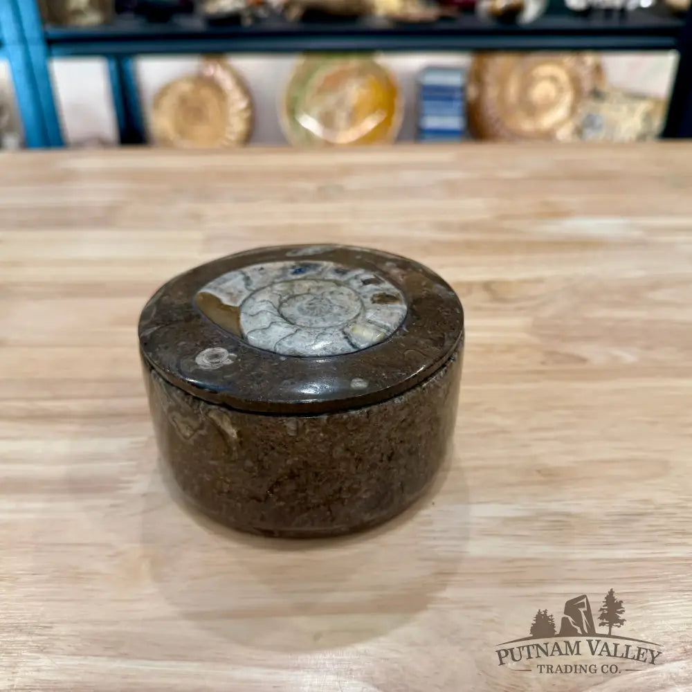 Ammonite & Orthoceras Round Fossil Keepsake Box 4.3’’ - Fossil Trinket Box