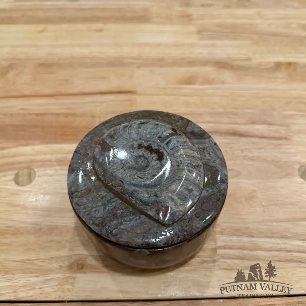 Ammonite & Orthoceras Round Fossil Keepsake Box 4.3’’ - Fossil Trinket Box