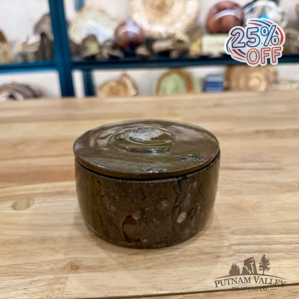 Ammonite & Orthoceras Round Fossil Keepsake Box 4.3’’ - Fossil Trinket Box
