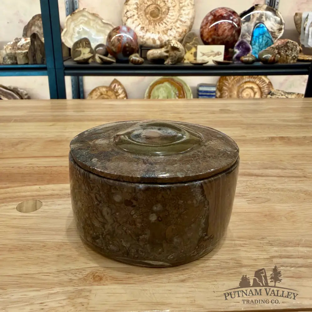 Ammonite & Orthoceras Round Fossil Keepsake Box 4.3’’ - Fossil Trinket Box