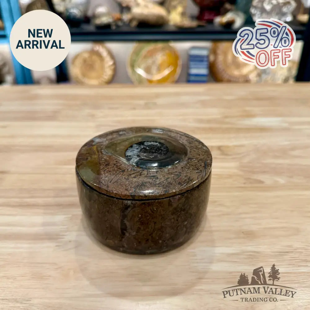 Ammonite & Orthoceras Round Fossil Keepsake Box 4.3’’ 4 - Fossil Trinket Box