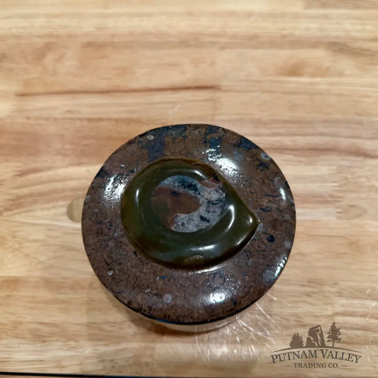 Ammonite & Orthoceras Round Fossil Keepsake Box 4.3’’ - Fossil Trinket Box