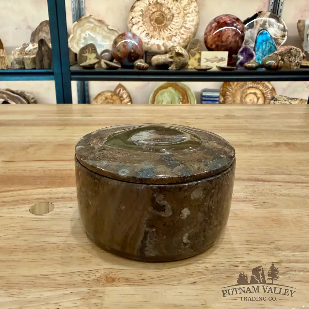 Ammonite & Orthoceras Round Fossil Keepsake Box 4.3’’ - Fossil Trinket Box