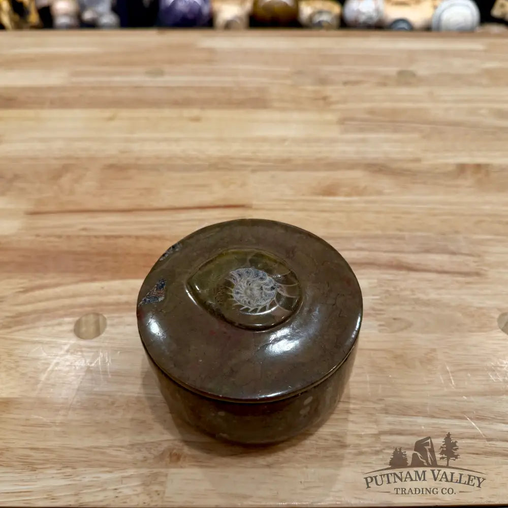 Ammonite & Orthoceras Round Fossil Keepsake Box 4.3’’ - Fossil Trinket Box