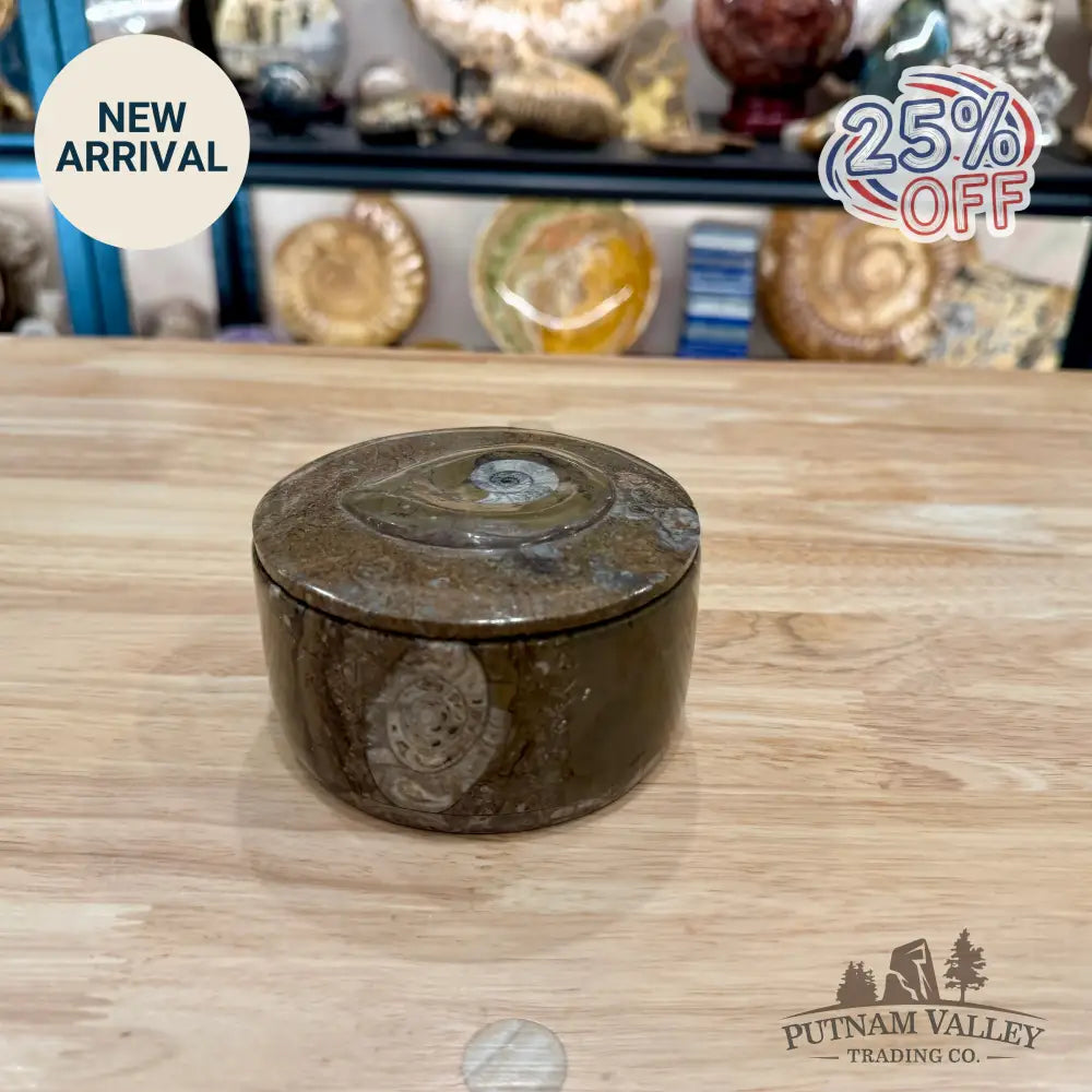 Ammonite & Orthoceras Round Fossil Keepsake Box 4.3’’ 1 - Fossil Trinket Box