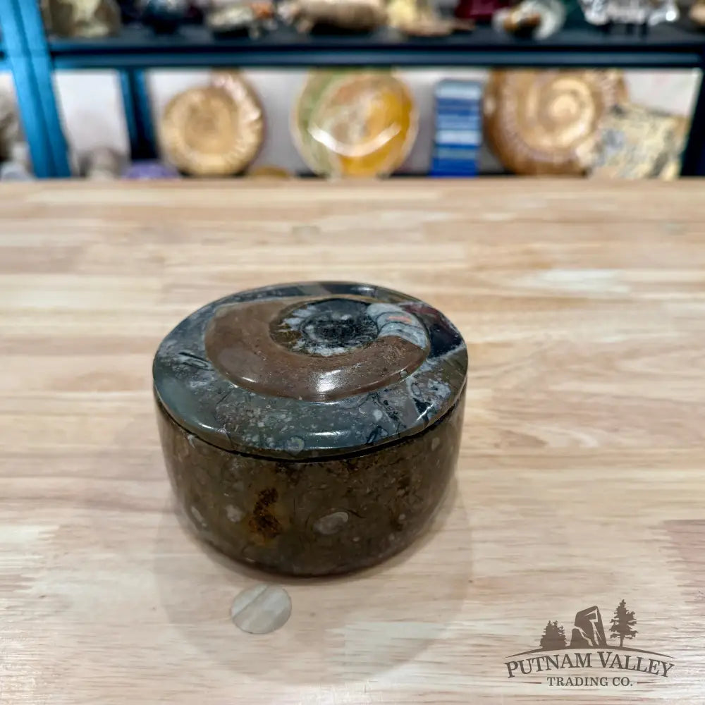 Ammonite & Orthoceras Round Fossil Keepsake Box 4.3’’ 3 - Fossil Trinket Box