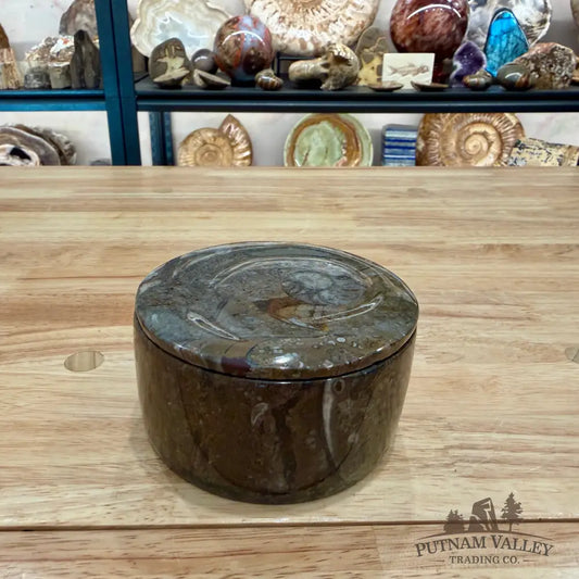 Ammonite & Orthoceras Round Fossil Keepsake Box 4.3’’ - Fossil Trinket Box