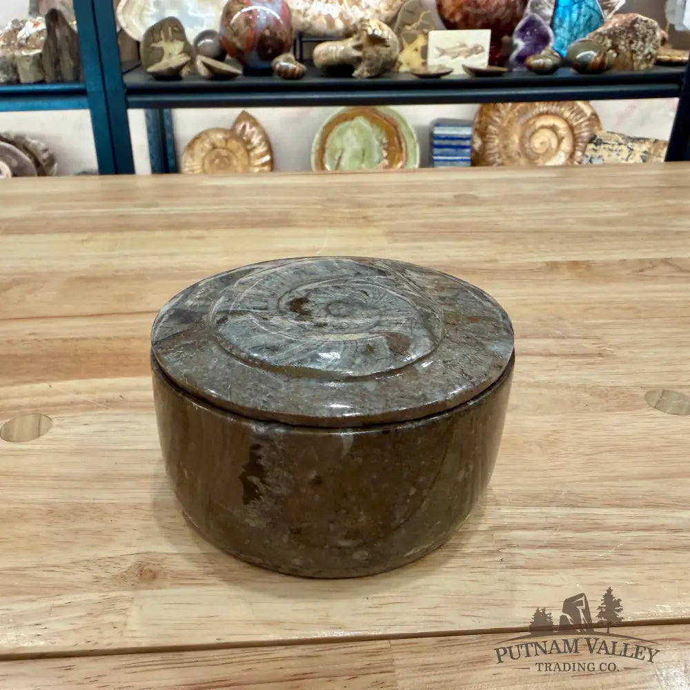 Ammonite & Orthoceras Round Fossil Keepsake Box 4.3’’ - Fossil Trinket Box