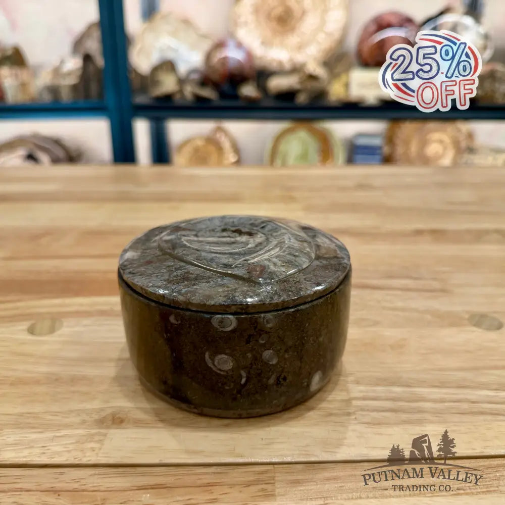 Ammonite & Orthoceras Round Fossil Keepsake Box 4.3’’ - Fossil Trinket Box
