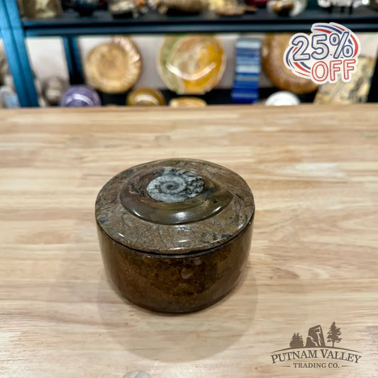 Ammonite & Orthoceras Round Fossil Keepsake Box 4.3’’ 2 - Fossil Trinket Box
