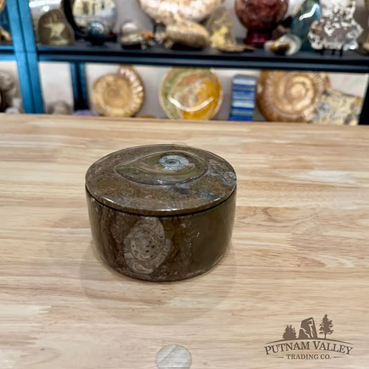 Ammonite & Orthoceras Round Fossil Keepsake Box 4.3’’ 1 - Fossil Trinket Box