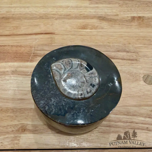 Ammonite & Orthoceras Round Fossil Keepsake Box 4.3’’ - Fossil Trinket Box