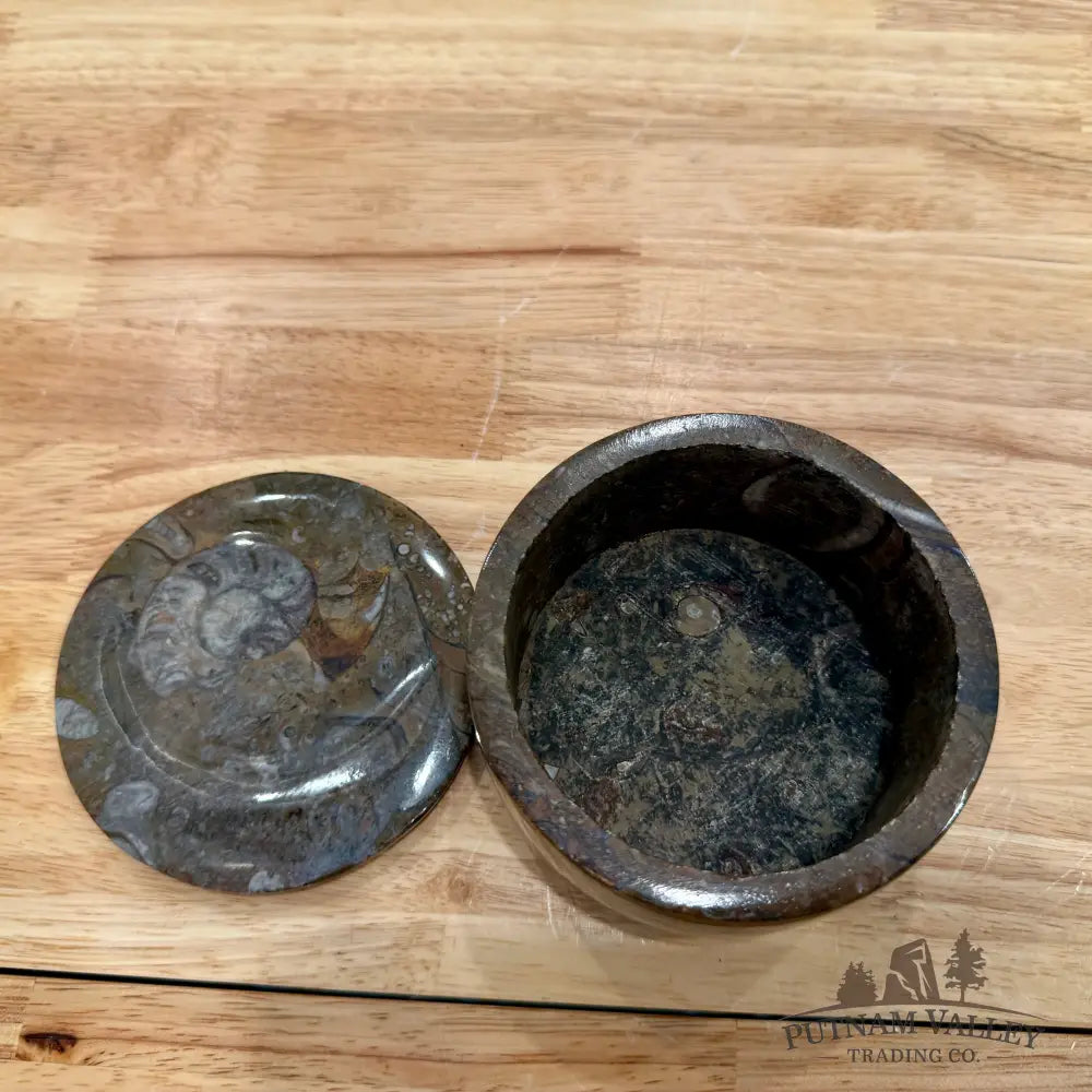 Ammonite & Orthoceras Round Fossil Keepsake Box 4.3’’ - Fossil Trinket Box