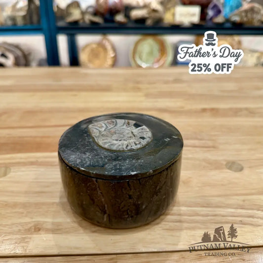 Ammonite & Orthoceras Round Fossil Keepsake Box 4.3’’ - Fossil Trinket Box