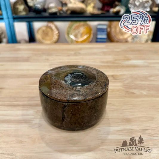 Ammonite & Orthoceras Round Fossil Keepsake Box 4.3’’ 4 - Fossil Trinket Box