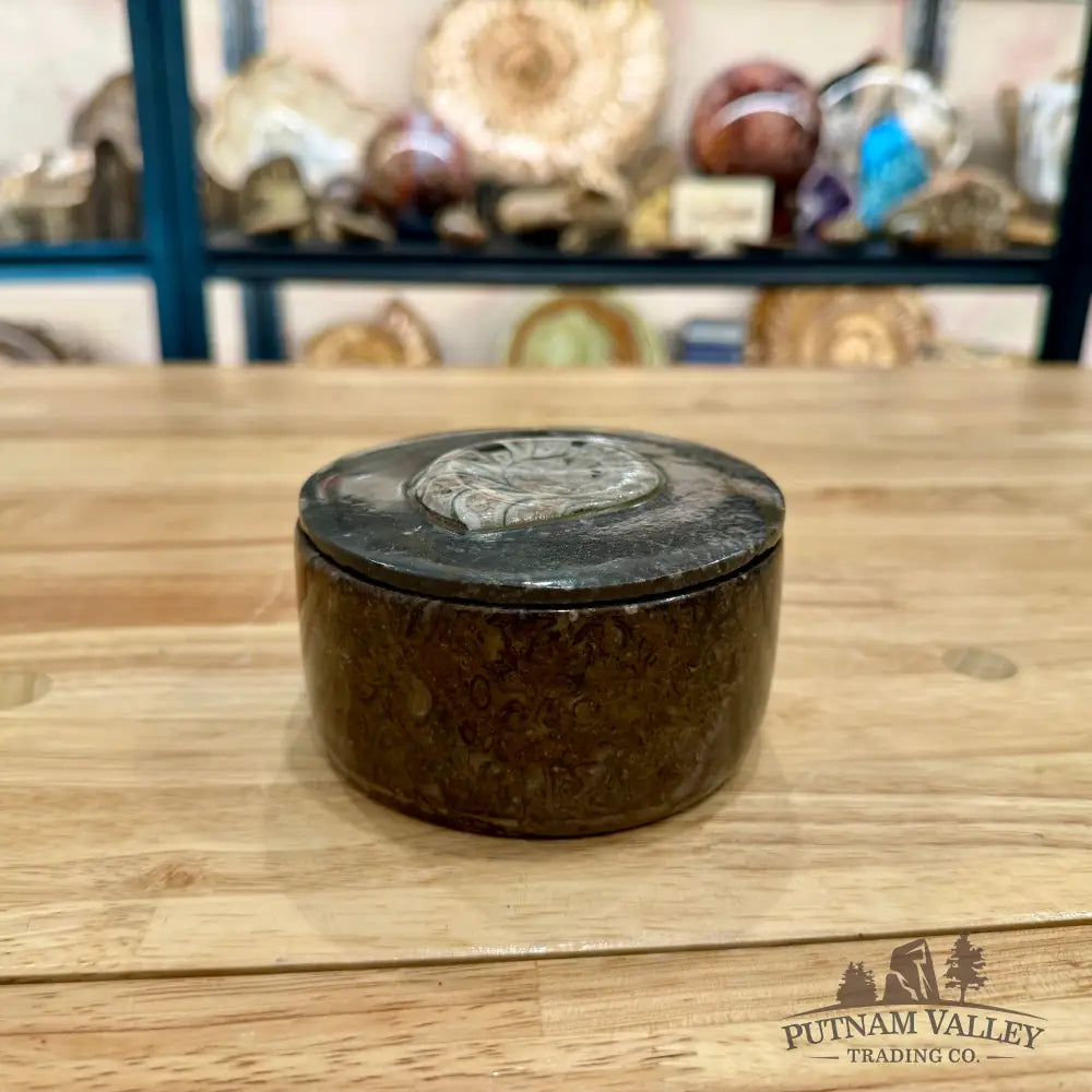 Ammonite & Orthoceras Round Fossil Keepsake Box 4.3’’ - Fossil Trinket Box