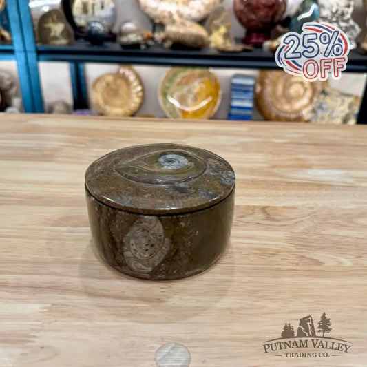 Ammonite & Orthoceras Round Fossil Keepsake Box 4.3’’ 1 - Fossil Trinket Box