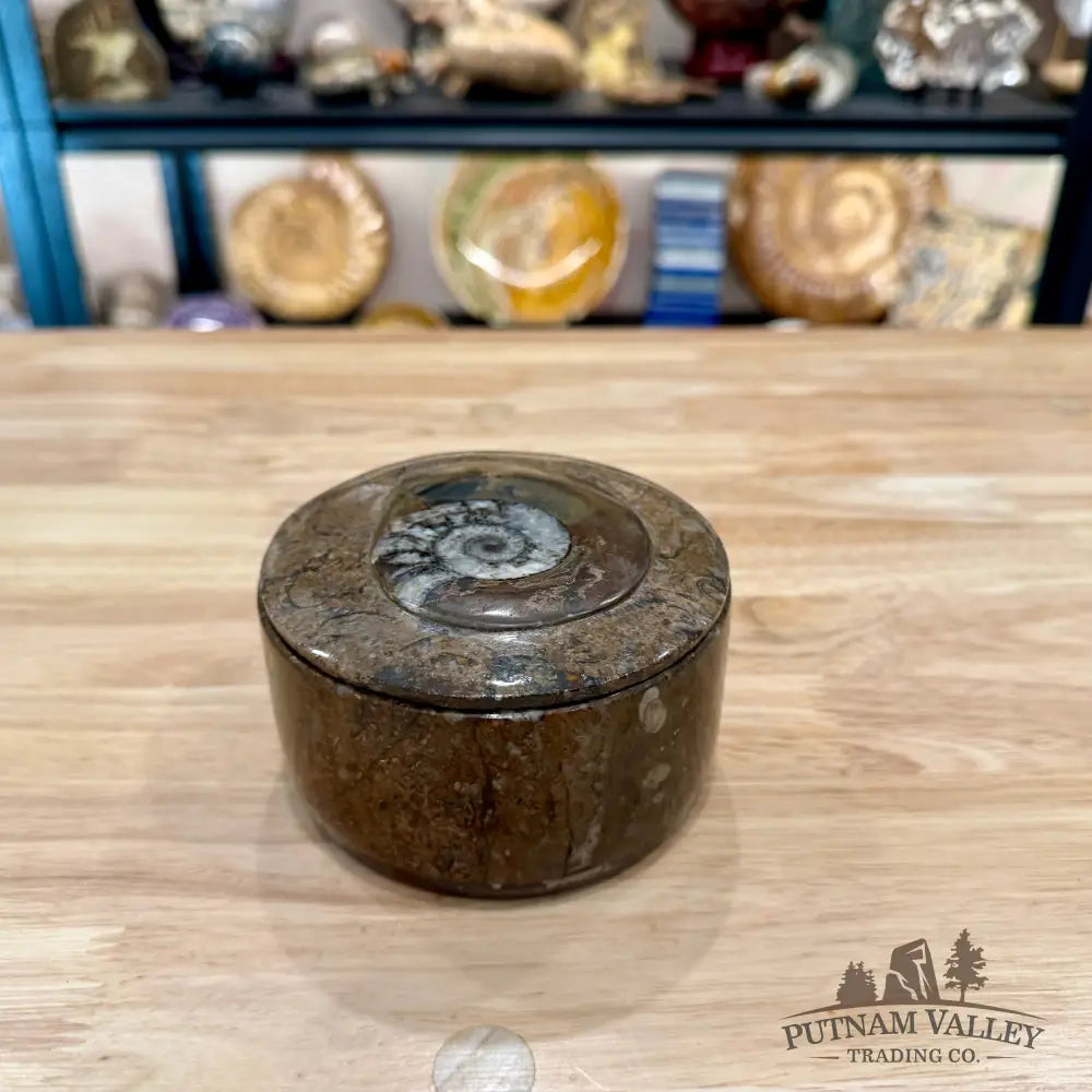 Ammonite & Orthoceras Round Fossil Keepsake Box 4.3’’ 2 - Fossil Trinket Box